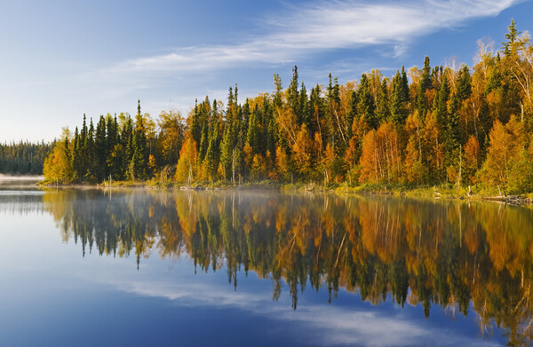 autumn, Dickens Lake Picture Board by Dave Reede