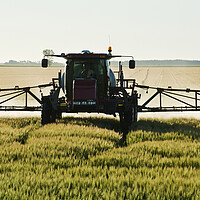 Buy canvas prints of spraying barley by Dave Reede