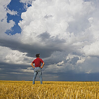 Buy canvas prints of a man looks out over a harvested oat field with a cumulonimbus cloud buildup in the background by Dave Reede