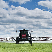 Buy canvas prints of a high clearance sprayer gives a chemical application to wheat by Dave Reede