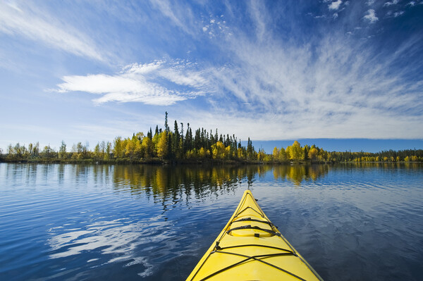 kayaking on Dickens Lake Picture Board by Dave Reede