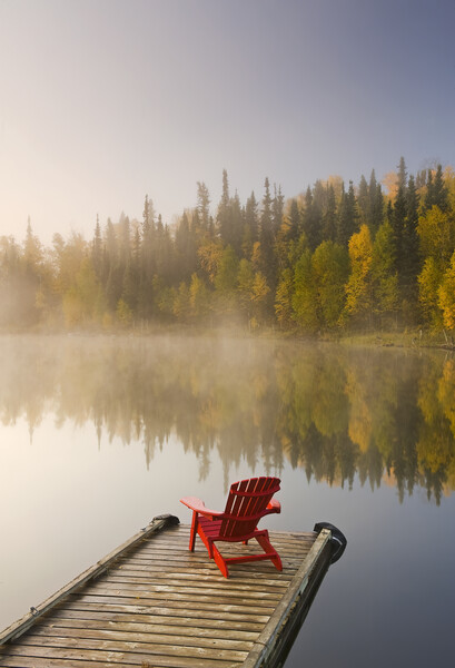 Muskoka chair on dock Picture Board by Dave Reede