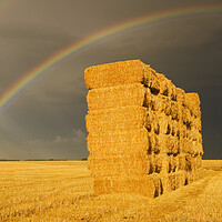 Buy canvas prints of rainbow over wheat straw bales by Dave Reede
