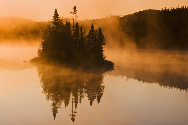 Misty Lake Picture Board by Dave Reede