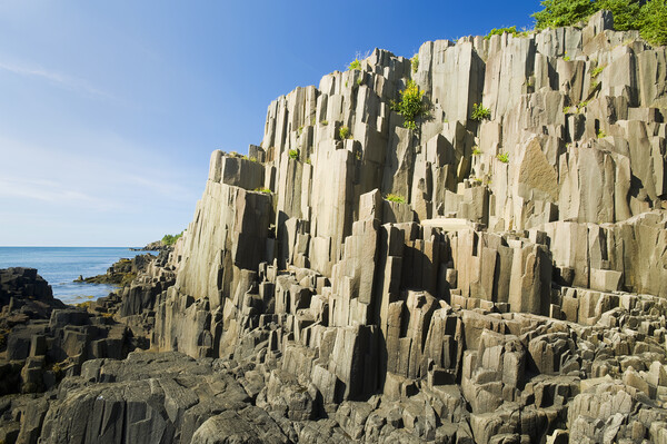 basalt rock cliffs Picture Board by Dave Reede