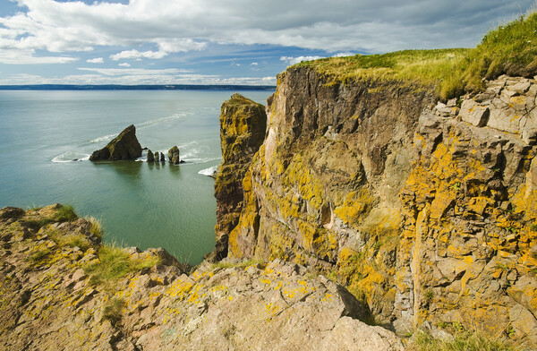Cape Split Picture Board by Dave Reede