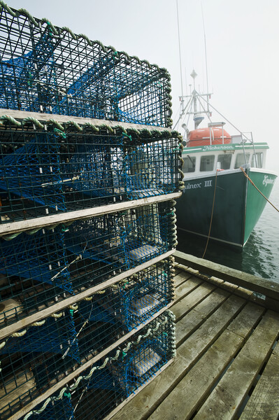 lobster traps and fishing boat Picture Board by Dave Reede