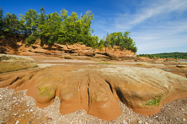 sandstone shoreline Picture Board by Dave Reede