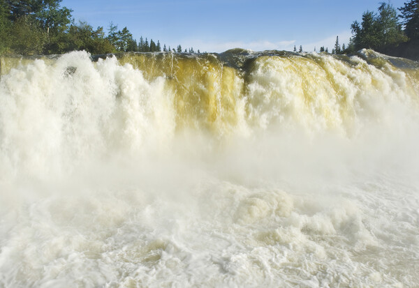 Pisew Falls Provincial Park Picture Board by Dave Reede