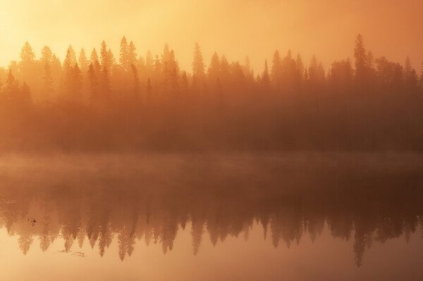 Morning Fog Over Lake Picture Board by Dave Reede