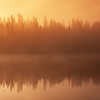 Buy canvas prints of Morning Fog Over Lake by Dave Reede