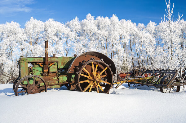 old tractor in the frost Picture Board by Dave Reede