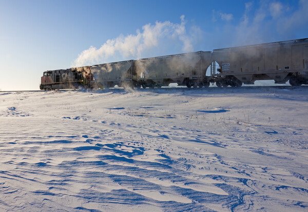 train crossing the prairies in winter Picture Board by Dave Reede