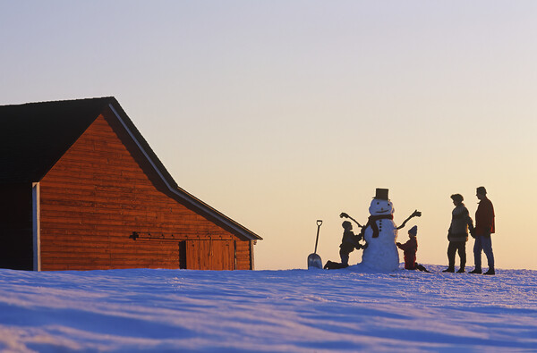 a family make a snowman in front of a red barn Picture Board by Dave Reede