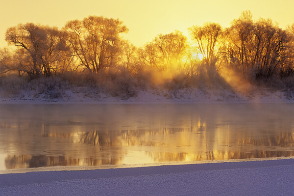 Winter along the Red River Picture Board by Dave Reede