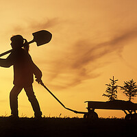 Buy canvas prints of Tree Planting by Dave Reede