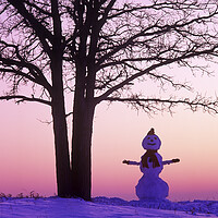 Buy canvas prints of Happy Snowman by Dave Reede