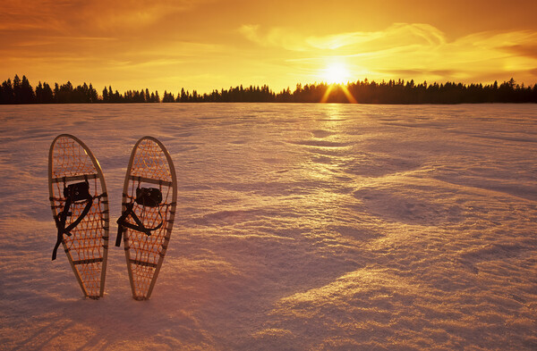 snowshoes Picture Board by Dave Reede