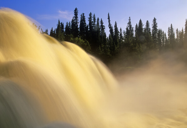 water tumbles over Pisew Falls Picture Board by Dave Reede