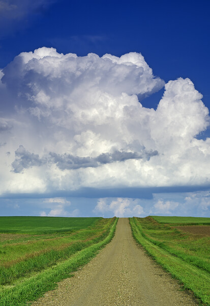 country road with cumulonimbus cloud mass in the background Picture Board by Dave Reede