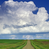 Buy canvas prints of country road with cumulonimbus cloud mass in the background by Dave Reede