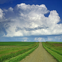 Buy canvas prints of country road with cumulonimbus cloud mass in the background by Dave Reede