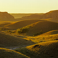 Buy canvas prints of morning light  over the Big Muddy Badlands by Dave Reede