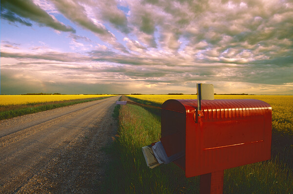 mailbox along country road Picture Board by Dave Reede