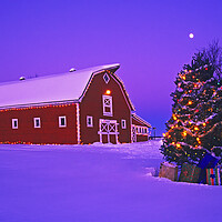 Buy canvas prints of red barn with Christmas tree by Dave Reede