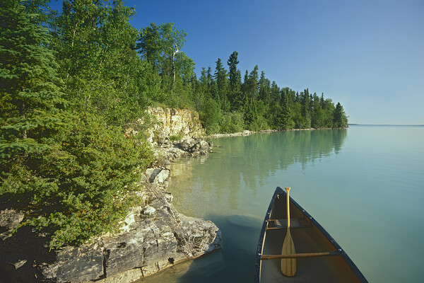 canoe along Little Limestone Lake Picture Board by Dave Reede