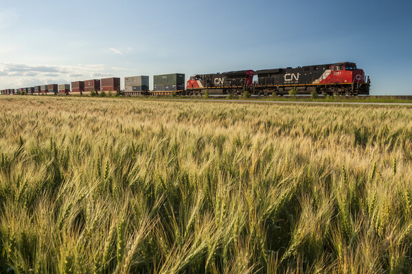 rail cars carrying containers Picture Board by Dave Reede