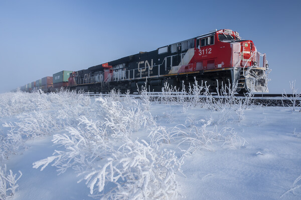 Cold Morning Along the Railway Picture Board by Dave Reede