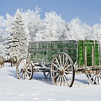 Buy canvas prints of old wagon in the hoarfrost by Dave Reede