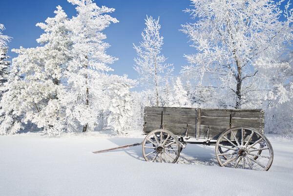 Old Wagon on a Frosty Day Picture Board by Dave Reede