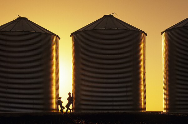 father and son next to grain bins Picture Board by Dave Reede