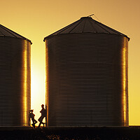 Buy canvas prints of father and son next to grain bins by Dave Reede