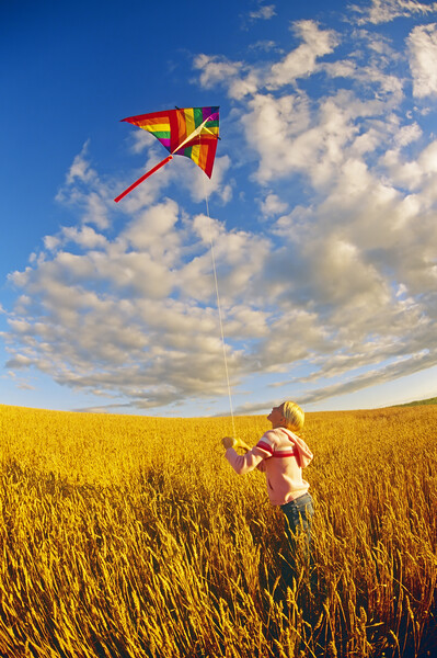 girl flying a kite in spring wheat field  Picture Board by Dave Reede