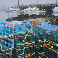 Buy canvas prints of stacked lobster traps along shoreline by Dave Reede