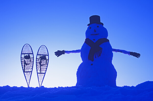 snowman  beside snowshoes Picture Board by Dave Reede