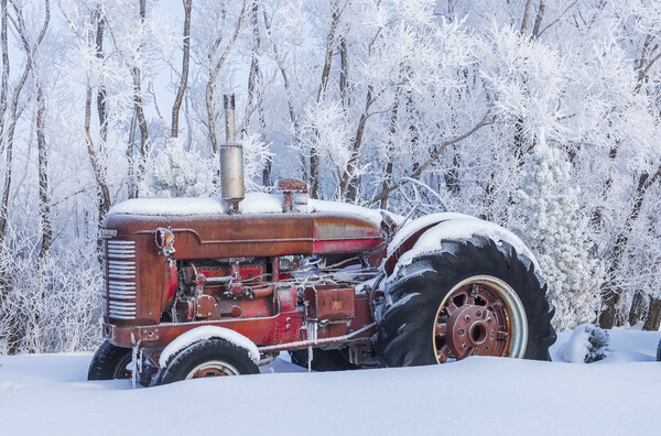 Old Tractor in the Snow Picture Board by Dave Reede