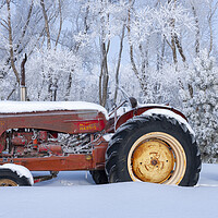 Buy canvas prints of Tractor by Dave Reede