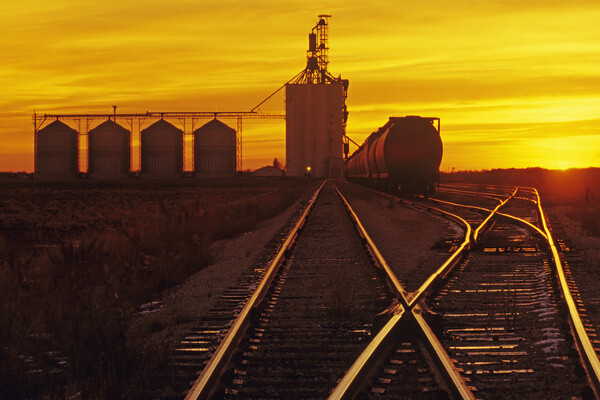 inland grain terminal Picture Board by Dave Reede