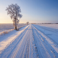 Buy canvas prints of backroad through farmland  in winter by Dave Reede