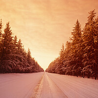 Buy canvas prints of Winter Road Through Pine Forest by Dave Reede