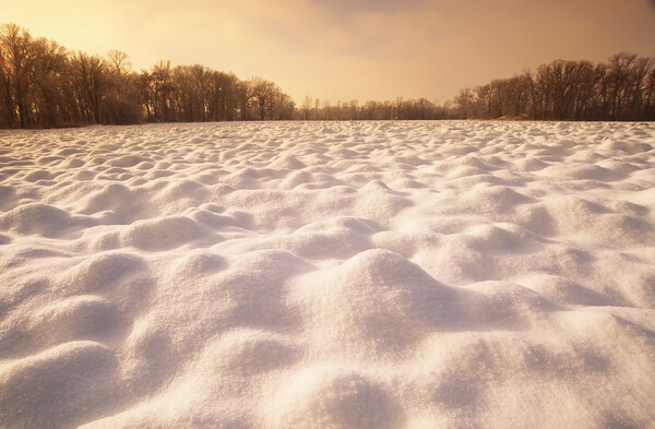 Snow Patterns on Plowed Farmland Picture Board by Dave Reede