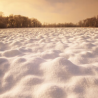 Buy canvas prints of Snow Patterns on Plowed Farmland by Dave Reede
