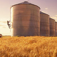 Buy canvas prints of a farmer climbs a grain storage bin by Dave Reede