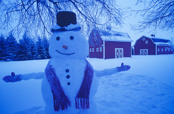Snowman in Front of Barns Picture Board by Dave Reede