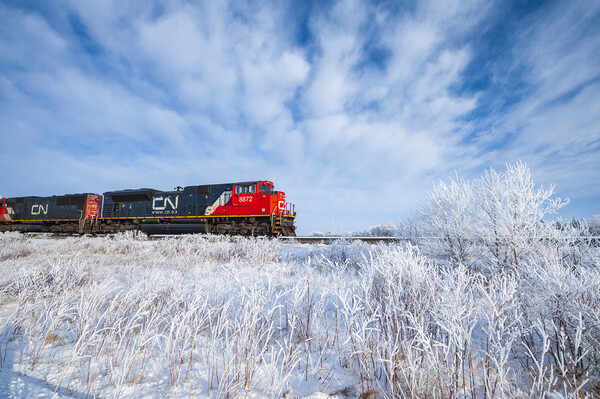 Train Passing a Snowy Landscape Picture Board by Dave Reede