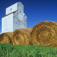 Buy canvas prints of alfalfa bales in front of old grain elevator by Dave Reede